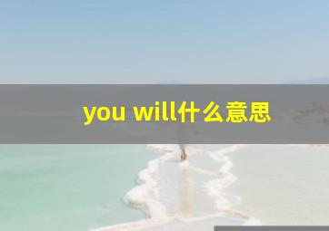 you will什么意思